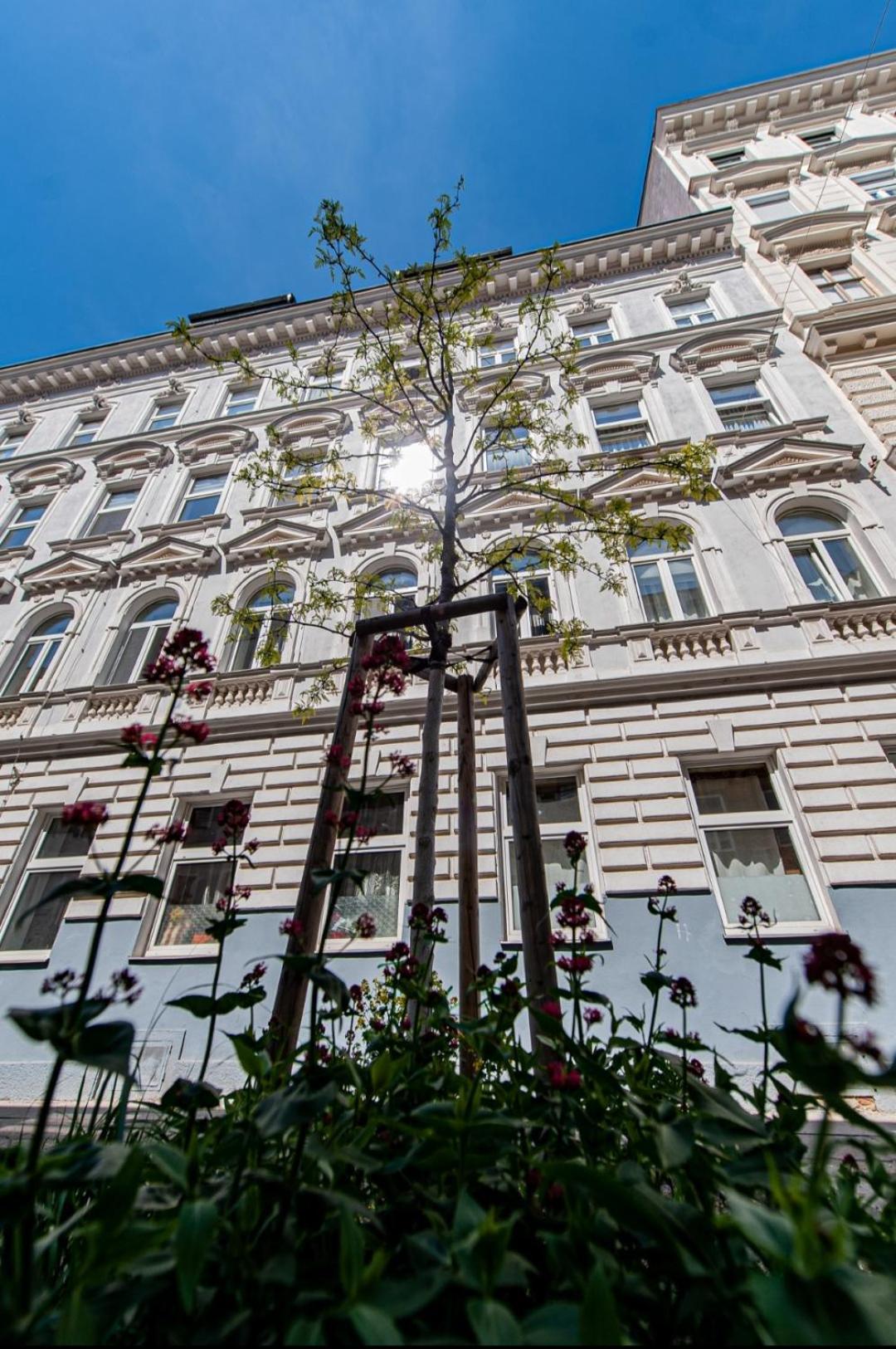 Vienna My City Apartment Garden View Luaran gambar